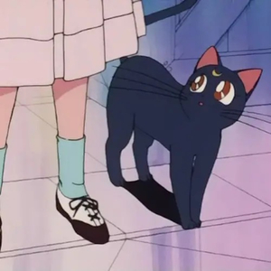 酷友同志登录入口
