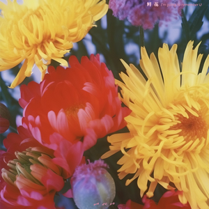 酷友同志登录入口
