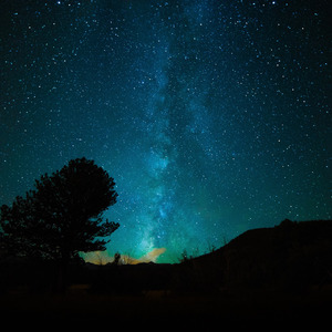 酷友同志登录入口
